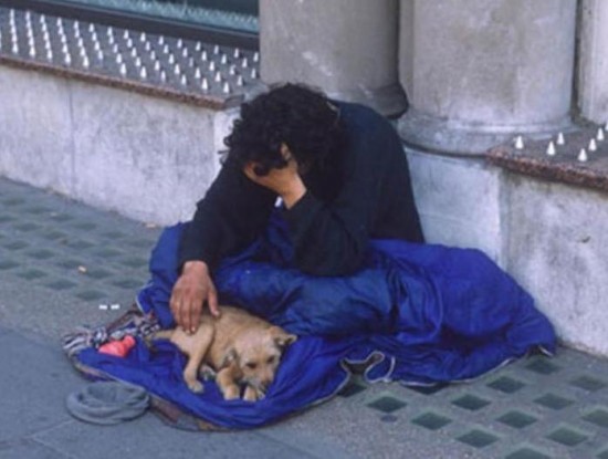 anti-homeless-spikes4-550x415