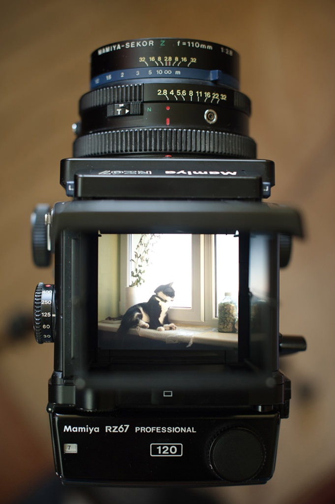 A Very Personal Mamiya RZ67 Pro Review.j