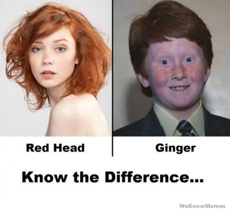 know-the-difference-red-hair-ginger