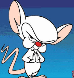 http://www.allmystery.de/i/tDIBoWa_qyOTIu_pinky_brain1253891951.gif