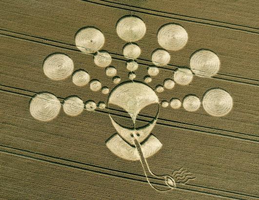 crop circles alien