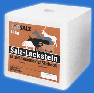 salzleckstein