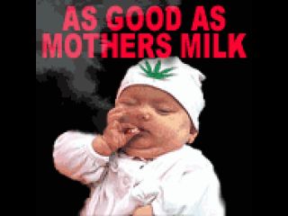 As good as mothers milk.png thumb