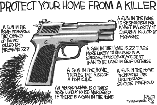 guns in home