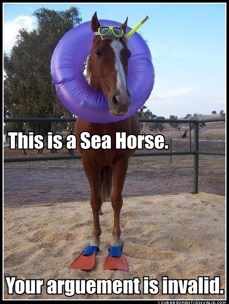 sea-horse-your-argument-is-invalid
