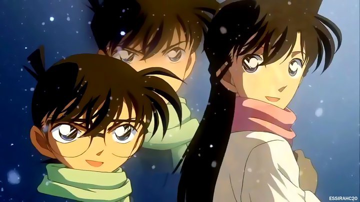 Shinichi-and-Ran-detective-conan-couples