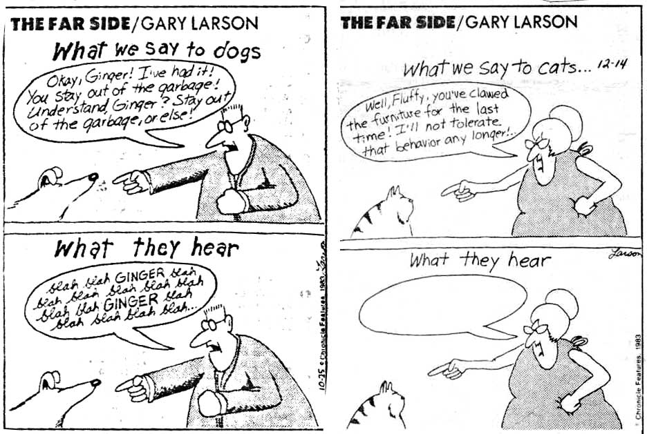 gary-larson-what-we-say-to-dogs-what-dog