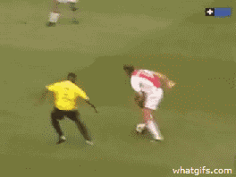 ta15675_funny-gifs-soccer-troll.gif