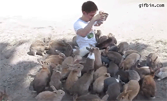 1409765339 rabbits cover man during feed