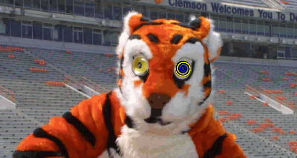 Clemson-Tiger-Hypnotize