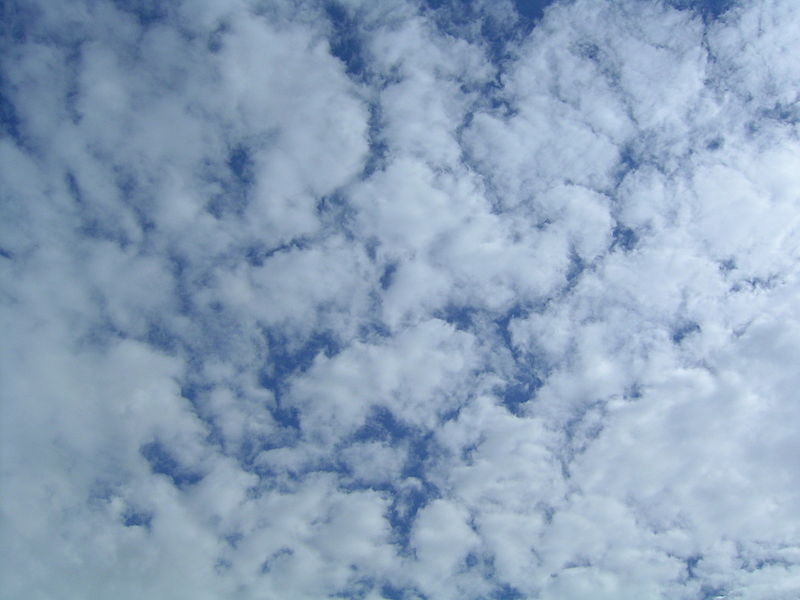 800px-Altocumulus clouds - 2004