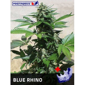 positronics-blue-rhino-1f 1
