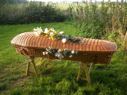 t7be42ae2c8ae Willow-eco-coffin