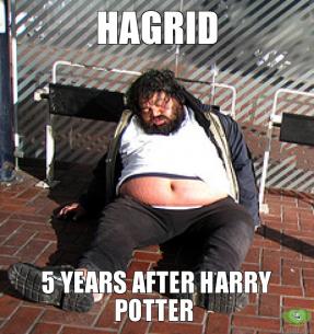 hagrid-5-years-after-harry-potter-thumb