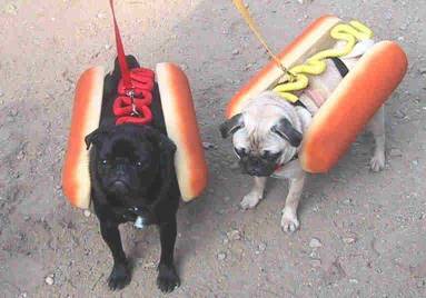 HOT20Dogs