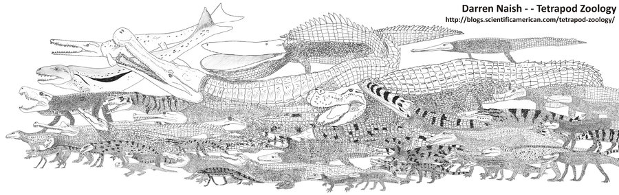 crocodylomorphs  parade version by eotyr