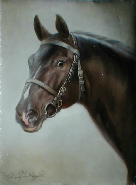 black-horse-portrait