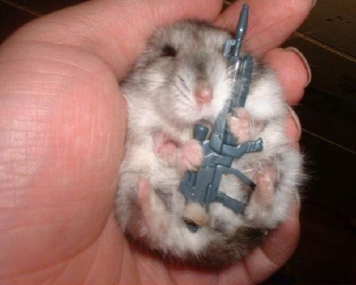 Das lustige Google Spiel kampf-hamster