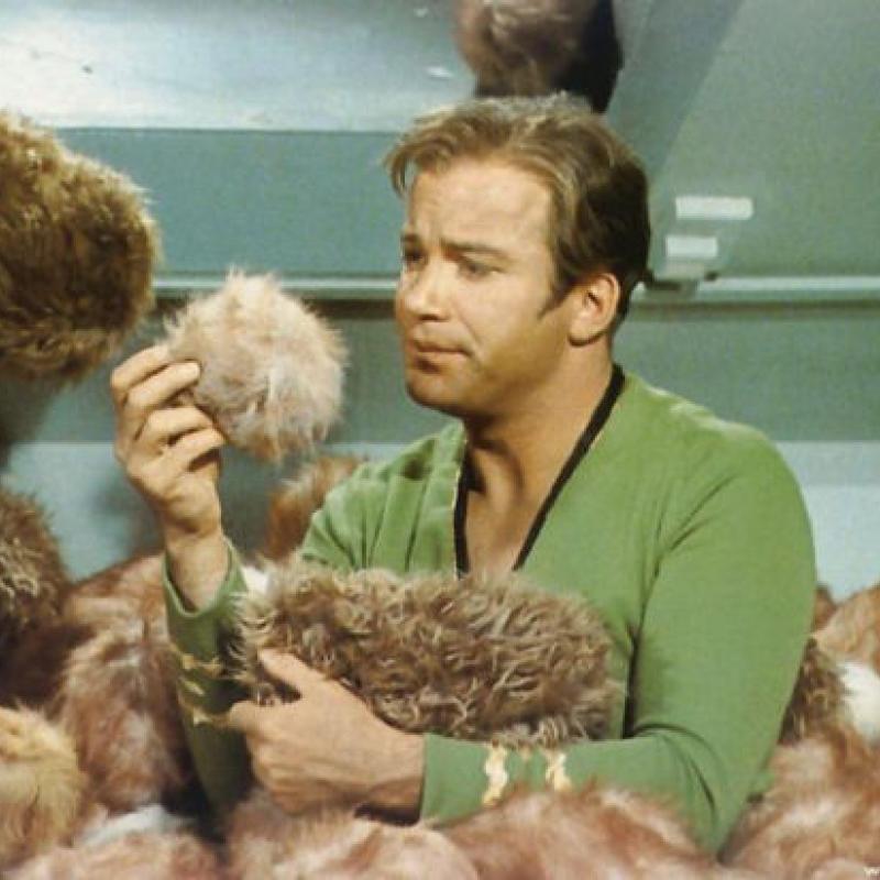 StarTrek Trouble With Tribbles