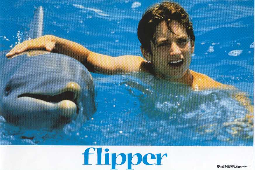 flipper 1