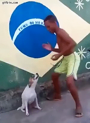 brazilian-kid-dances-with-dog