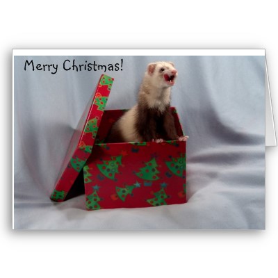 frettchen weihnachtskarte-p1376921603216