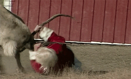 Santa Claus battling with Rudolph the re