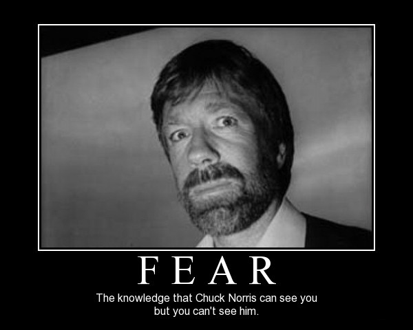 fear-the-knowledge-that-chuck-norris-can