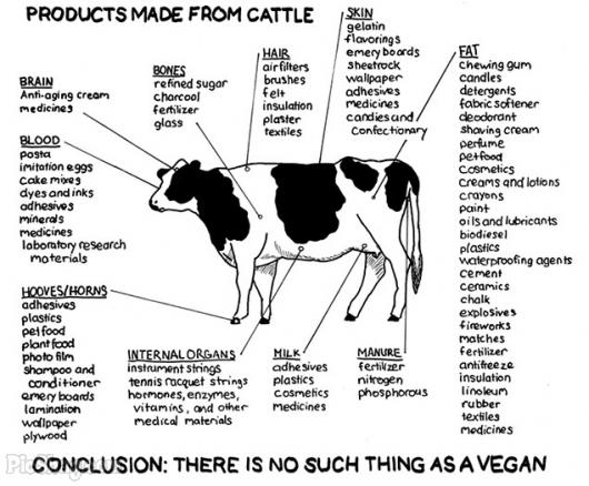 products-made-from-cattle
