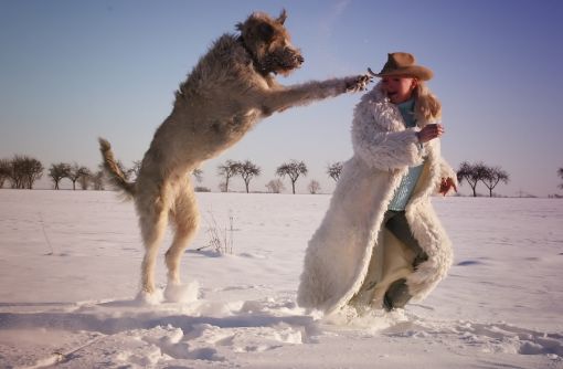 Natur-Schnee-Hund-Mensch-Fotografin-Tato