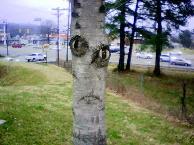creepytree