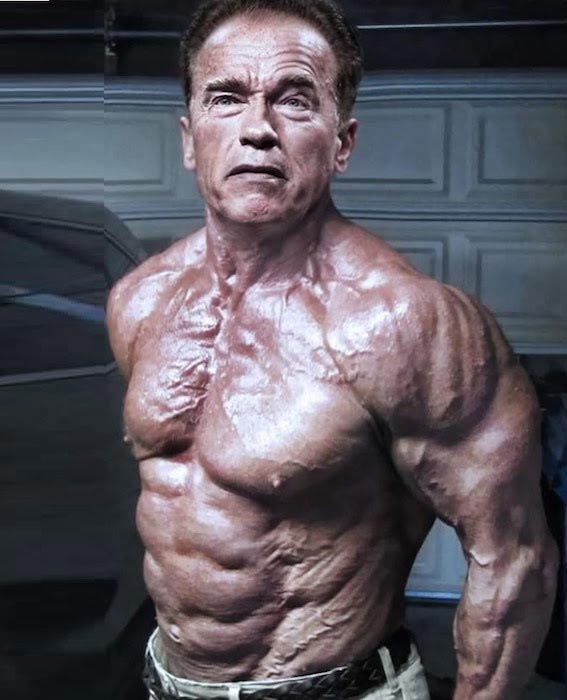 2e1a06a4d6be Arnold-Schwarzenegger-shirtless-body