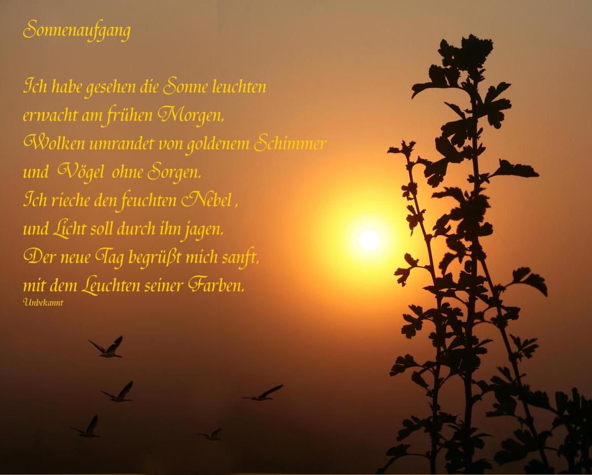Sonnenaufgang  Gedicht  Herbst  Nebel  F