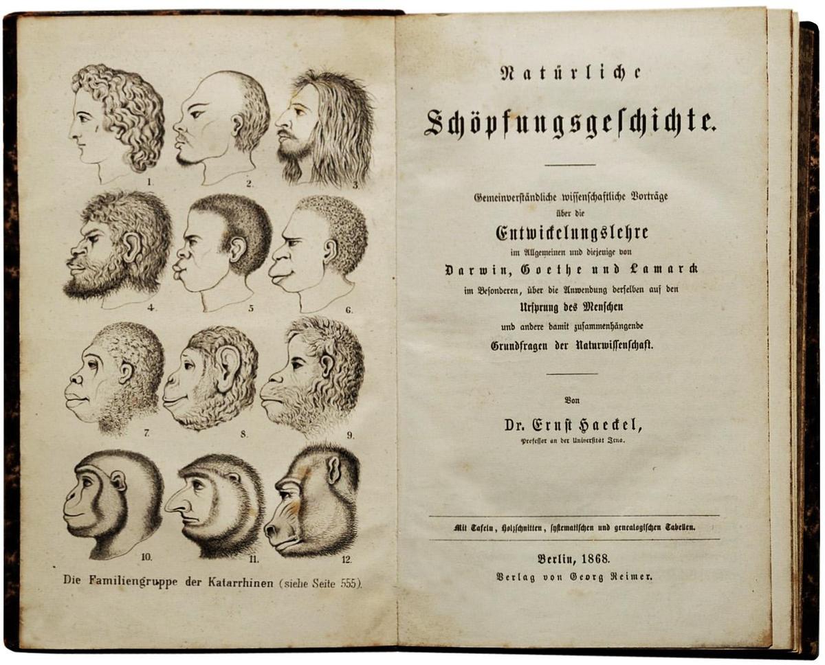 Ernst Haeckel - NatC3BCrliche SchC3B6pfu