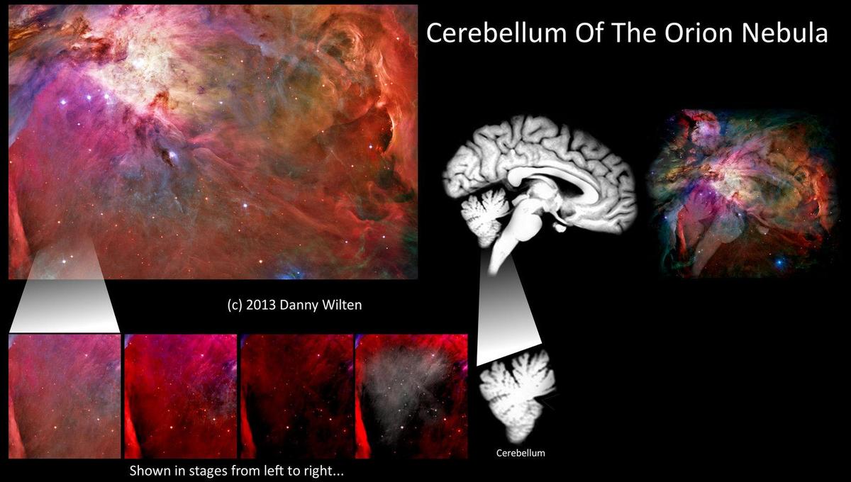 cerebellum of orion nebula exposed by da