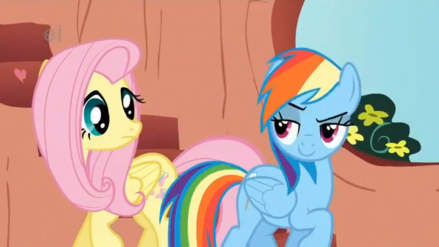 Rainbow-Dash-and-Fluttershy-my-little-po