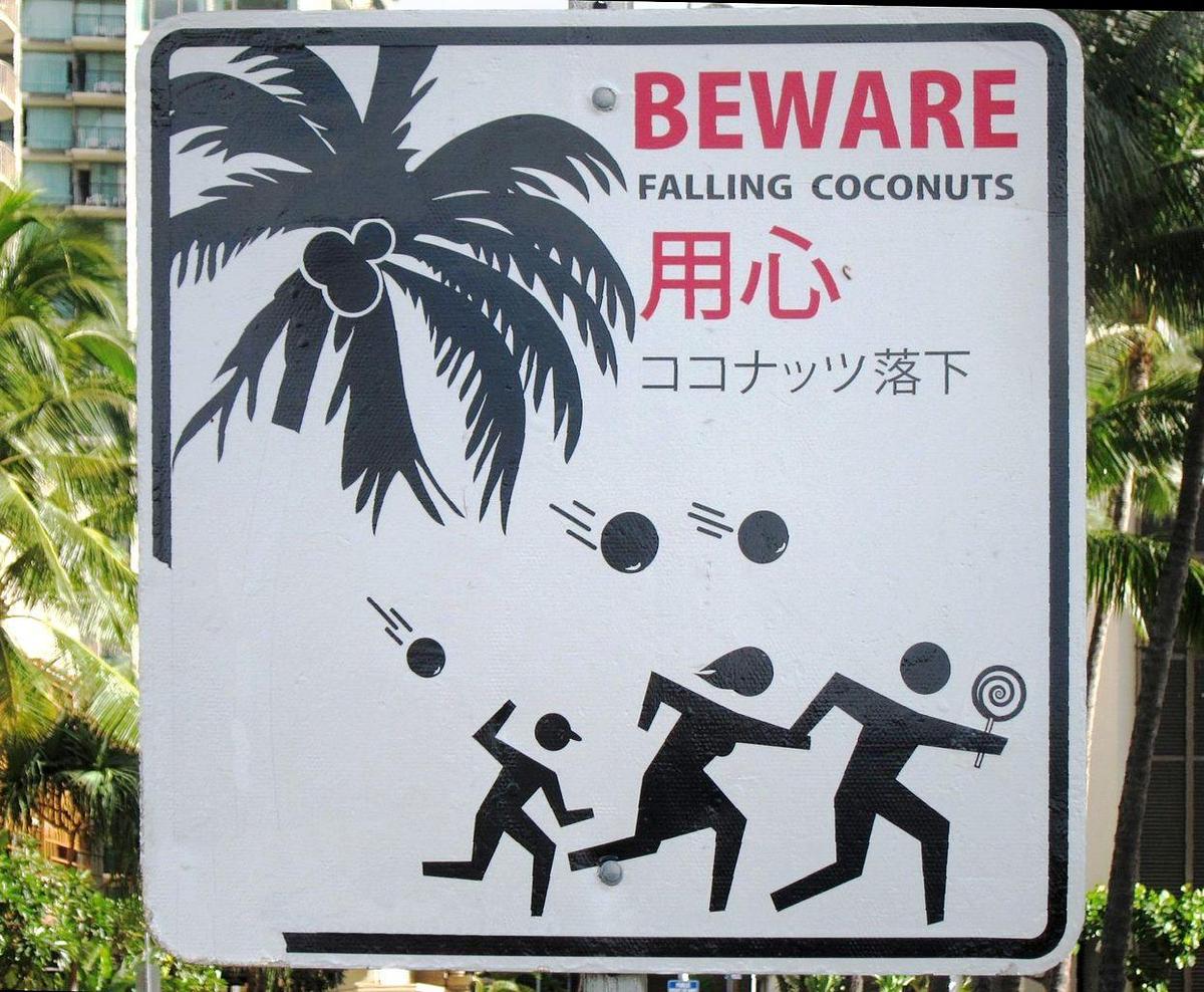 1244px-27BEWARE FALLING COCONUTS27 sign 