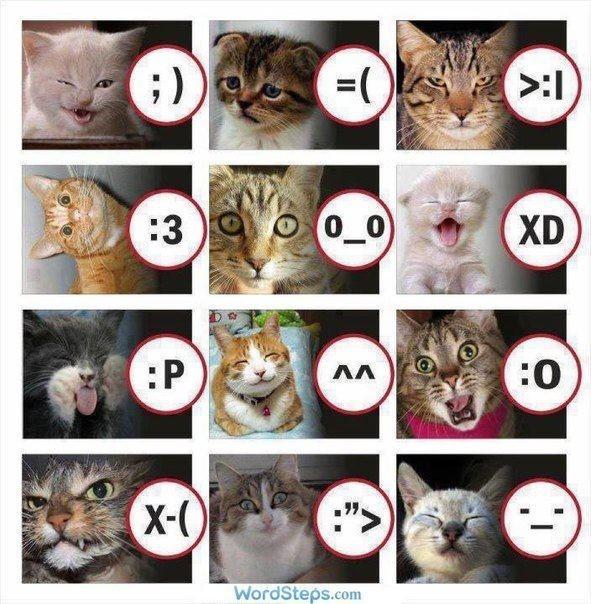 cat-smilies-by-wordsteps-com