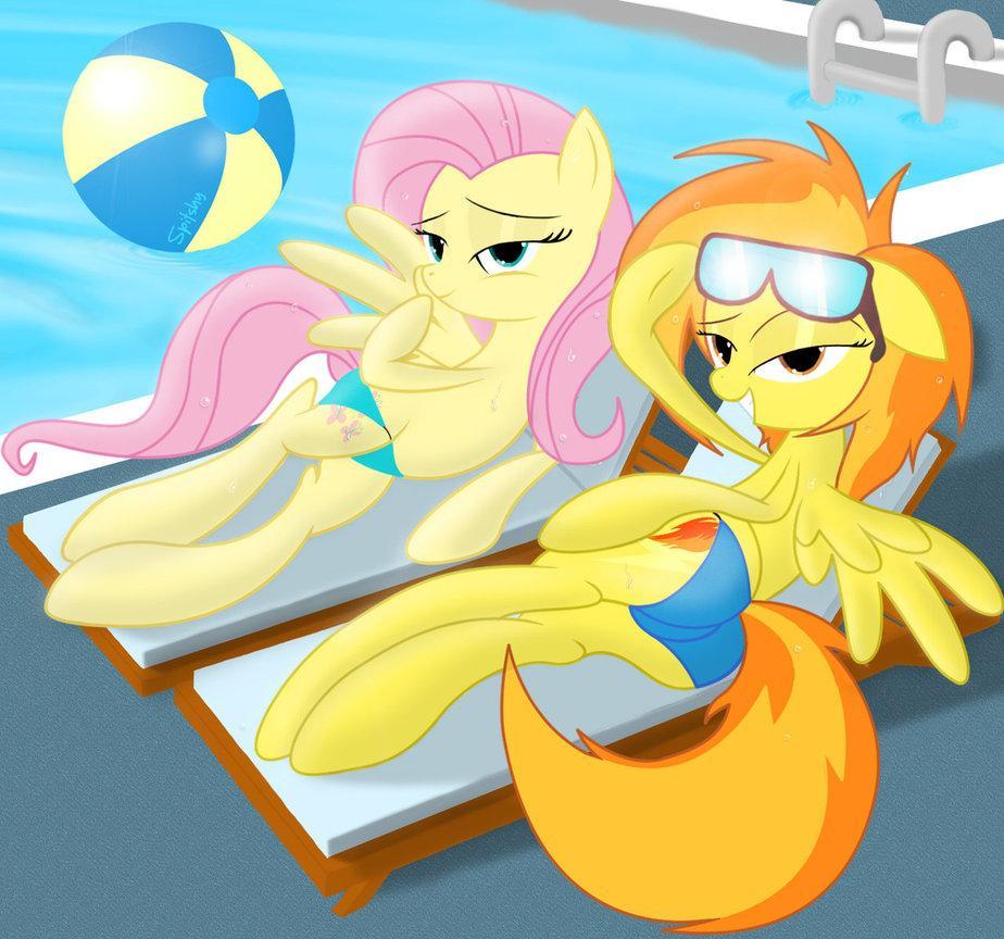 spitfire hanging out with fluttershy by 