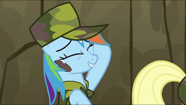 640px-Rainbow Dash 22One tough stain for