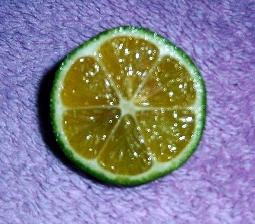 c4532f 4 Lemone