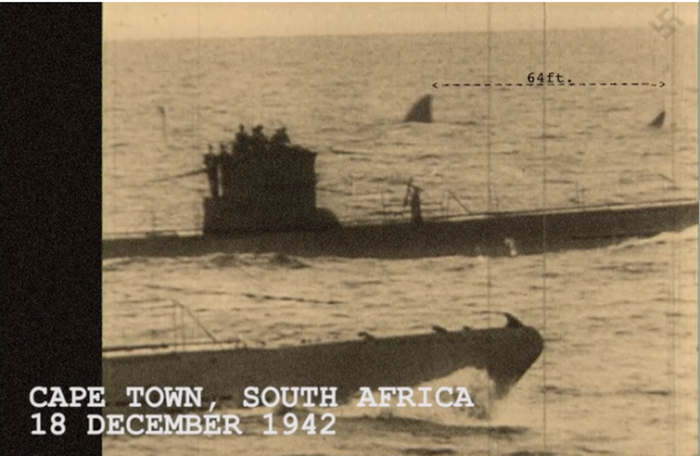 submarine-and-shark-640x417