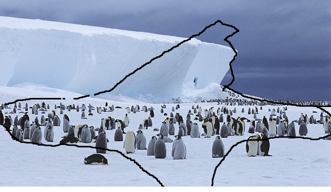 pinguine-verschwunden-antarid0871b298bma
