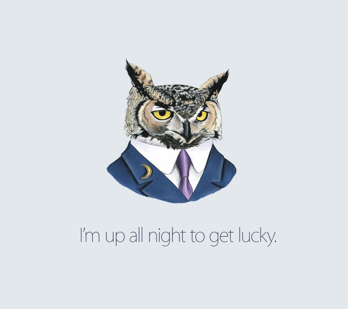 Owl uoallnight
