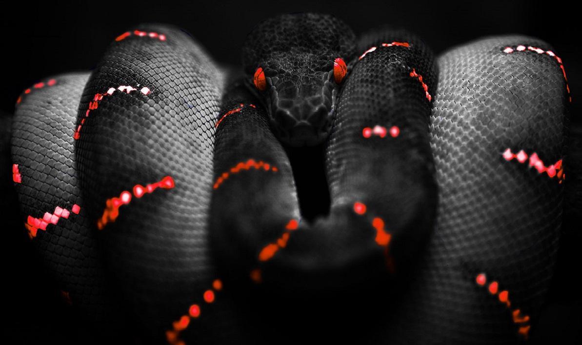 serpent 2