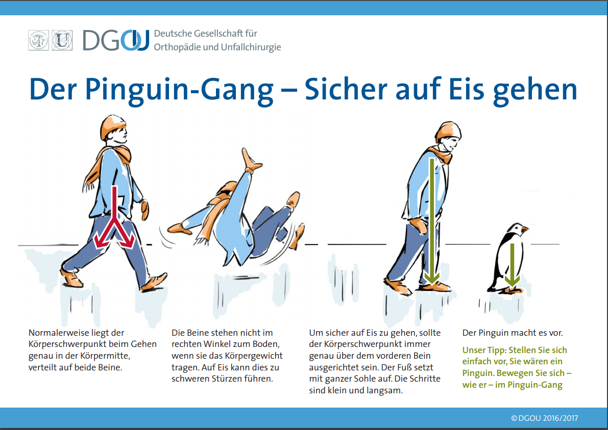 Pinguin-Gang-Copyright-DGOU-A5-web
