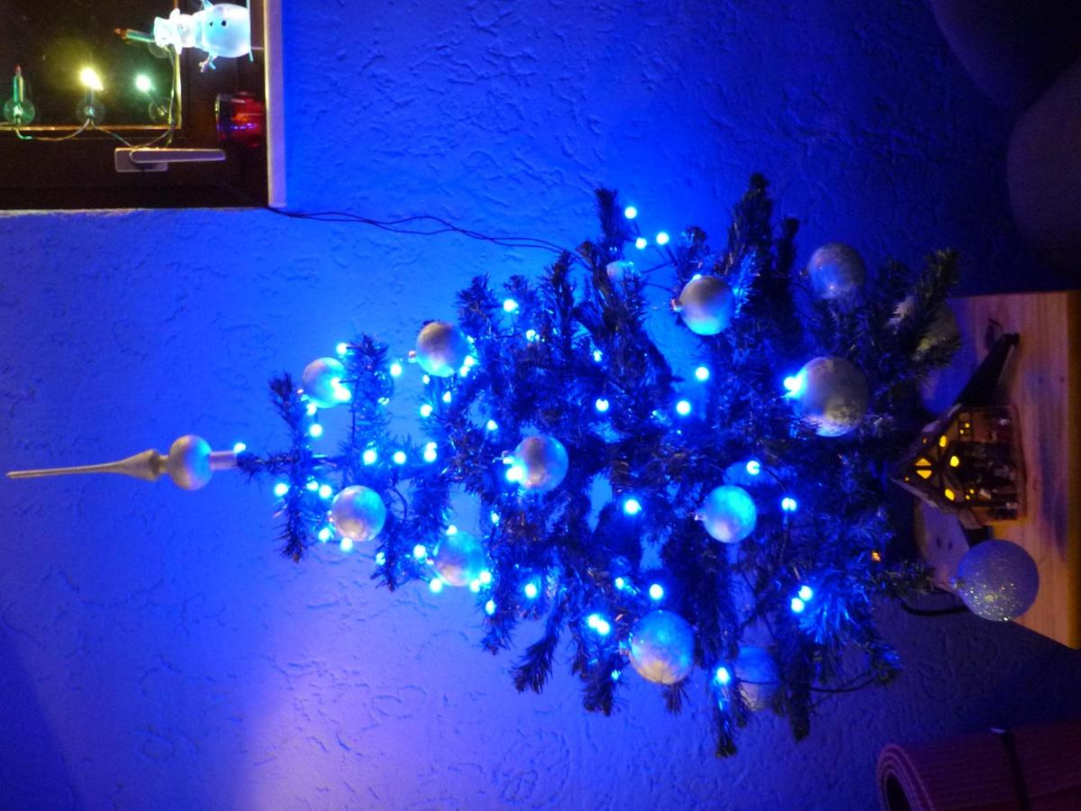 Weihnachtsbaum 2014