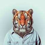 Profil von Theobald_Tiger