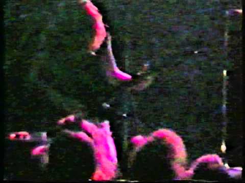 Youtube: Entombed - 18.8.1990 Lepakko, Helsinki, Finland (concert)