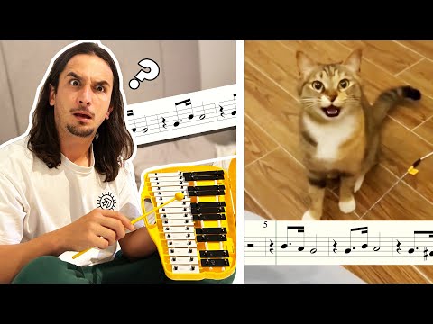 Youtube: The Kiffness - Xylophone Cat (Singing Cat Collab)